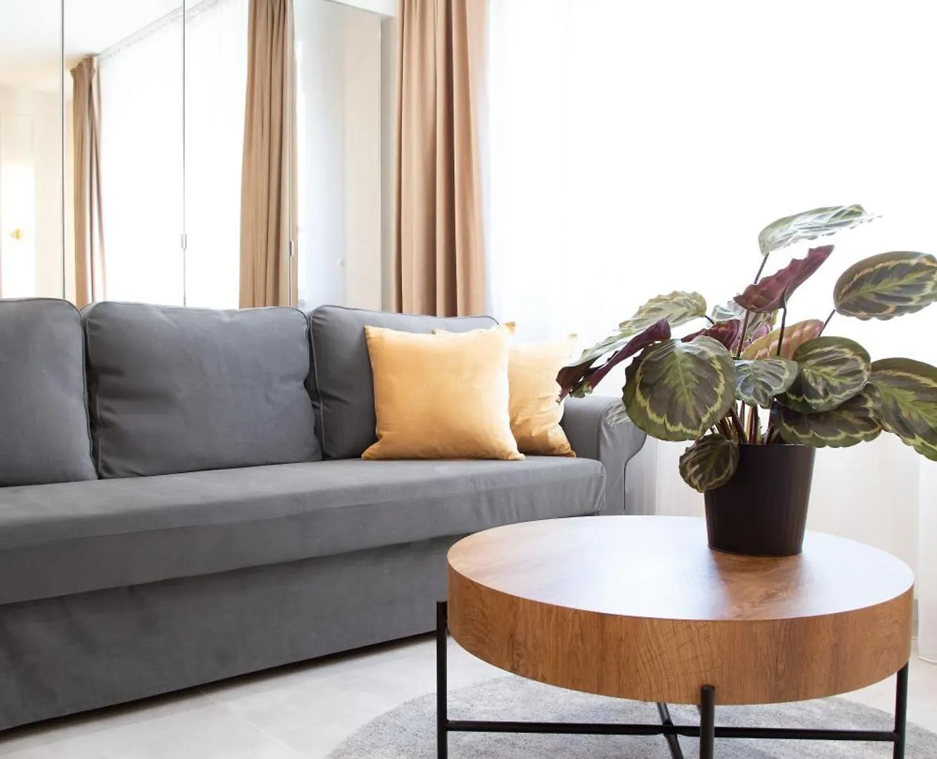 Househost Apartment Smolensk Elegant Studio Ac Lift Security 크라쿠프 폴란드